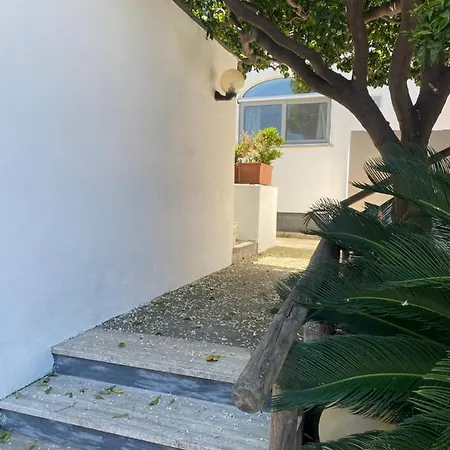 In 아파트 Forio di Ischia